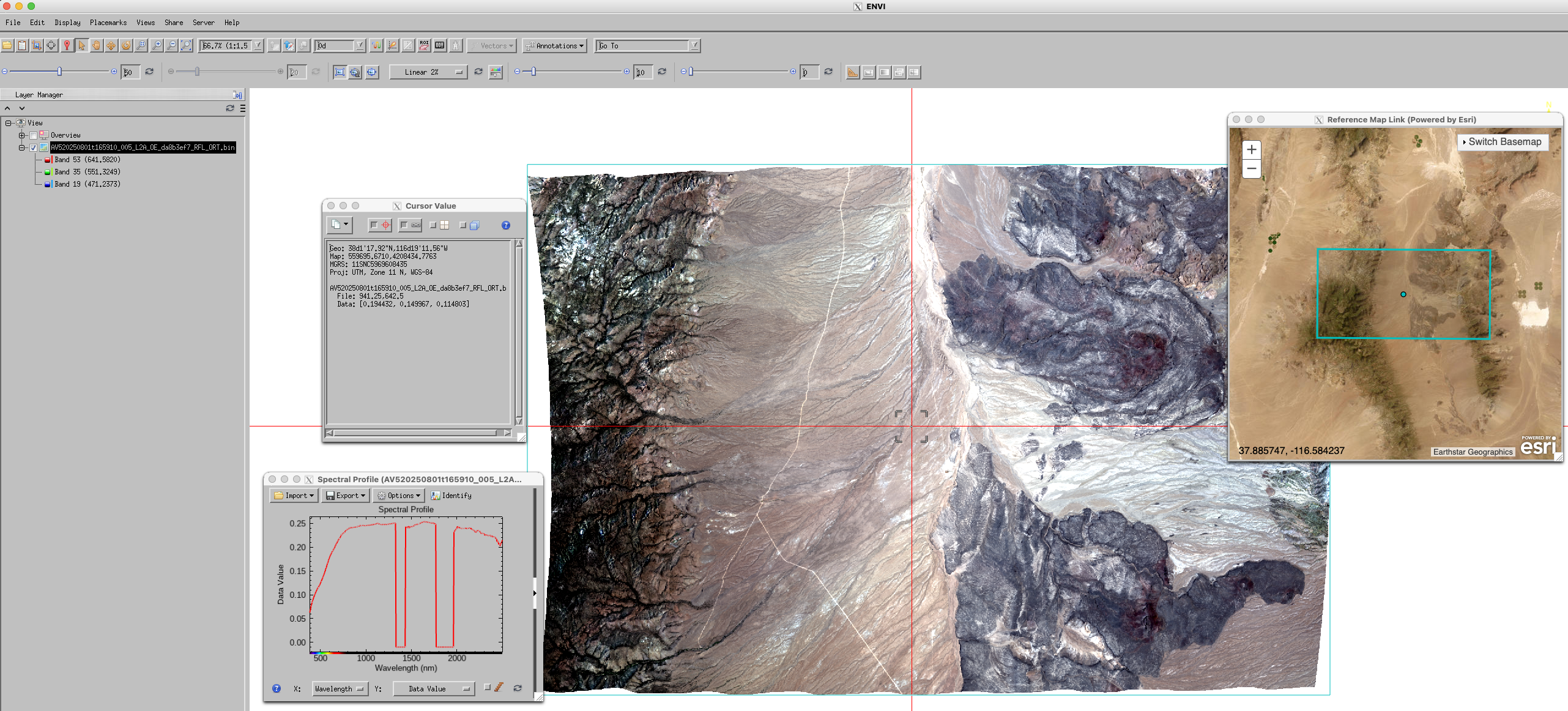 Image displayed in ENVI